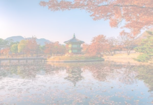 Background - Pousando na Korea